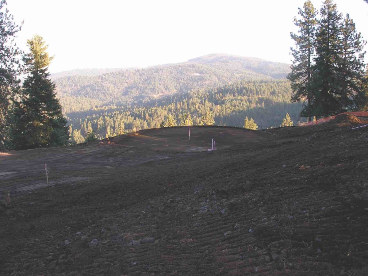 Gozzer before 1 copy