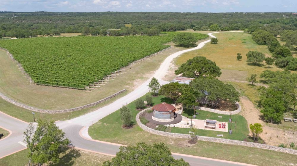 Salessilowithvines copy